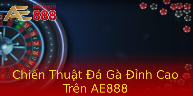 Chiến Thuật Đá Gà Đỉnh Cao Trên AE888 Chiến Thuật Đá Gà Đỉnh Cao Trên AE888