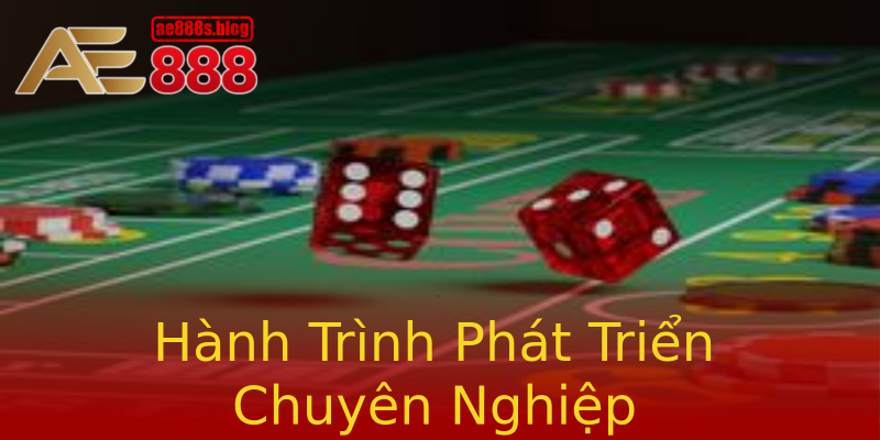 Hành Trình Phát Triển Chuyên Nghiệp Hành Trình Phát Triển Chuyên Nghiệp