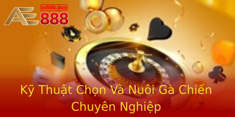 Kỹ Thuật Chọn Và Nuôi Gà Chiến Chuyên Nghiệp Kỹ Thuật Chọn Và Nuôi Gà Chiến Chuyên Nghiệp