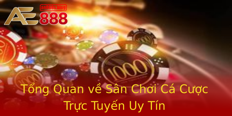 Tổng Quan về Sân Chơi Cá Cược Trực Tuyến Uy Tín Tổng Quan về Sân Chơi Cá Cược Trực Tuyến Uy Tín